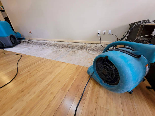 Professional Flood Damage Cleanup technician working in West Middletown, PA